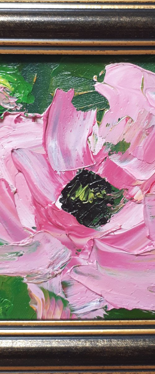 Pink Poppy I...framed / ORIGINAL OIL PAINTING / FROM MY A SERIES OF MINI WORKS by Salana Art Gallery