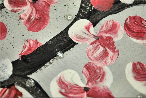 Cherry Blooming