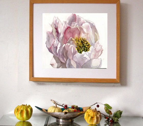 soft pink peony watercolor floral