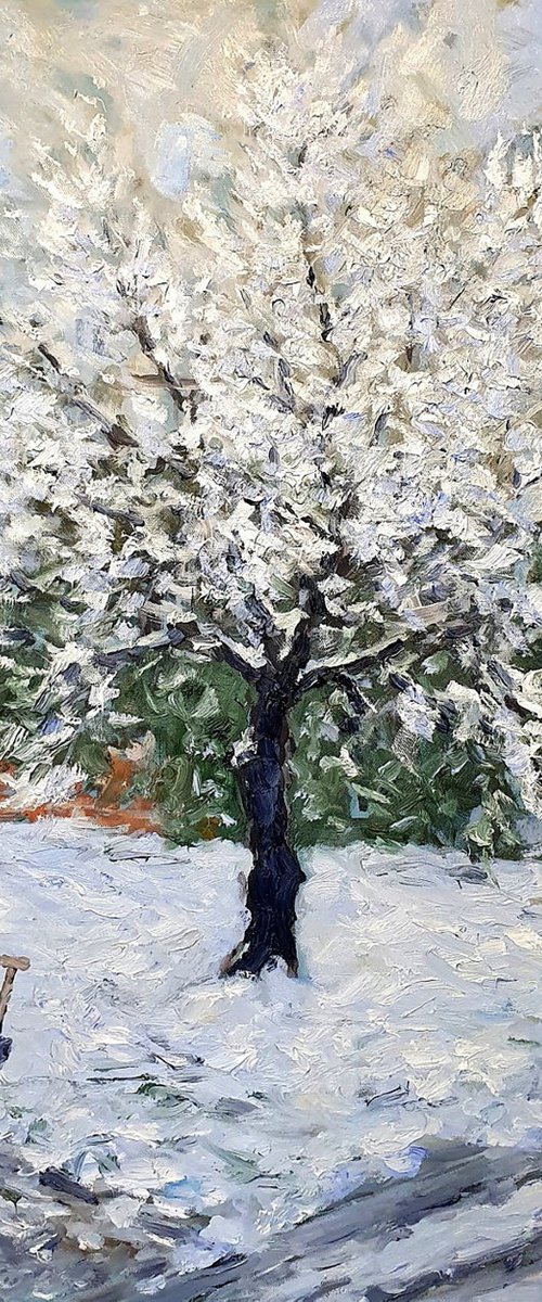 snow tree by Colin Ross Jack