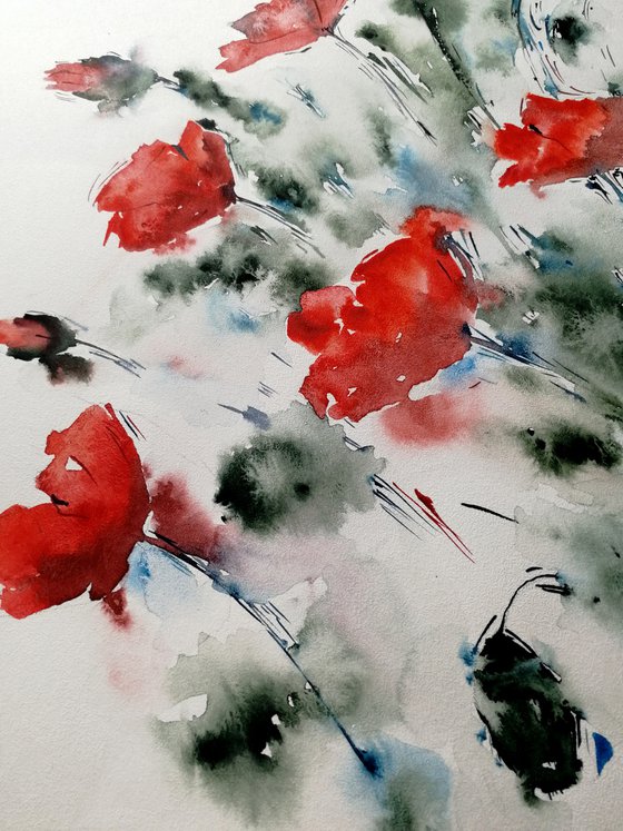 Red poppy painting. Wildflowers