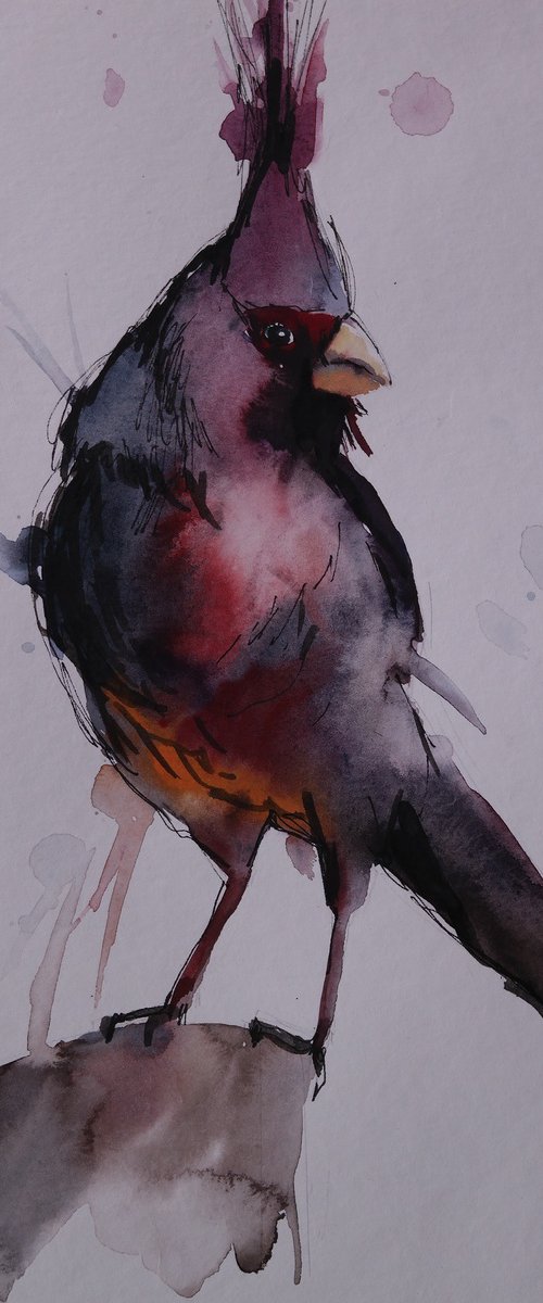 "Cardinal" by Lena Vylusk