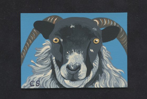 ACEO ATC Original Miniature Painting Black Sheep Farmyard Art-Carla Smale