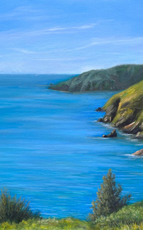 Towards Compass Bay, Devon by Ashley Baldwin-Smith