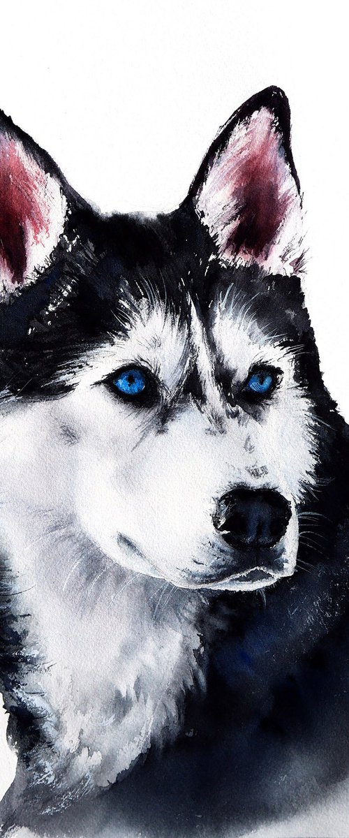 Husky Watercolor Painting - Pet Portrait by Yana Shvets
