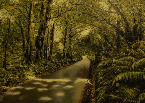 Wooded road by John O'Callaghan