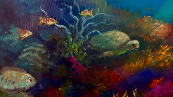 Pacific Reef
