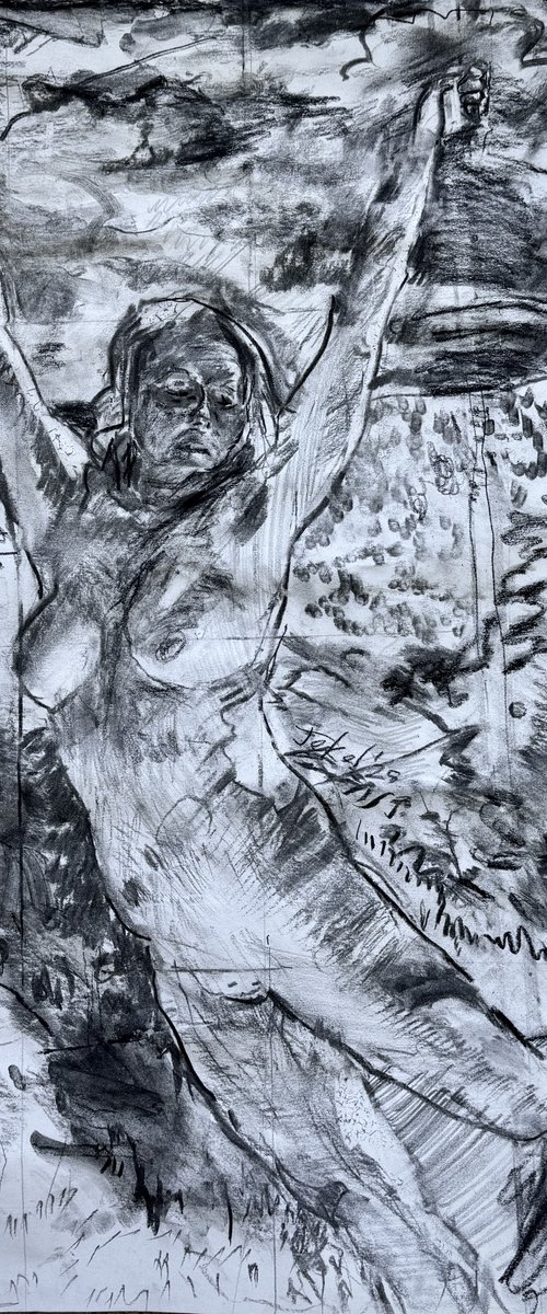 Beyond the Pole by Darren Jekel