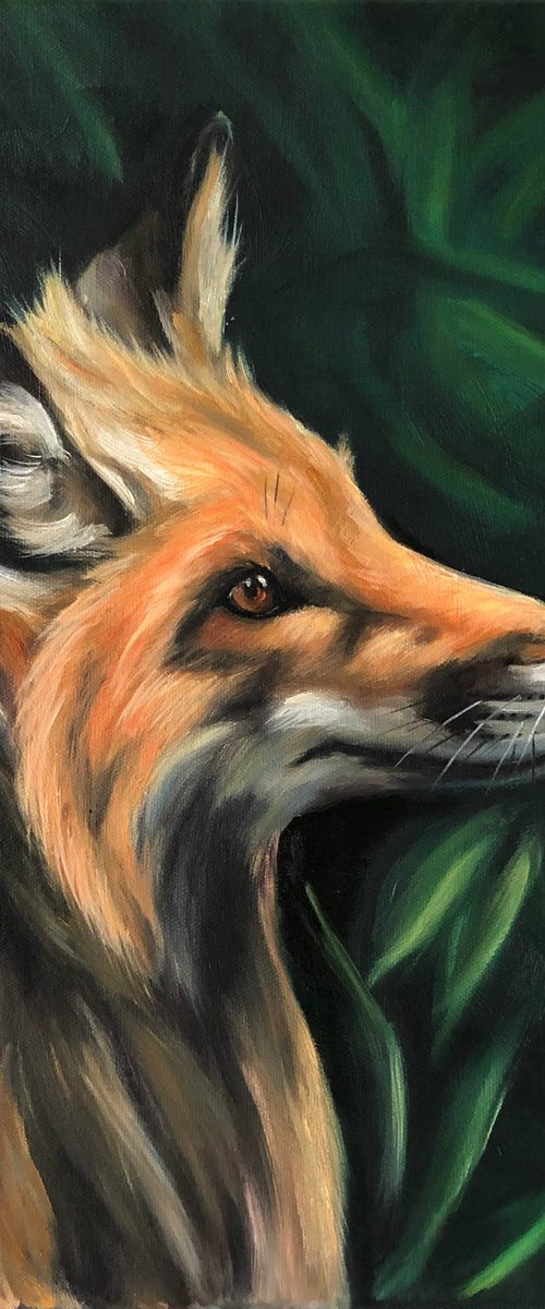 Сurious Fox by Lu Kuznetsova