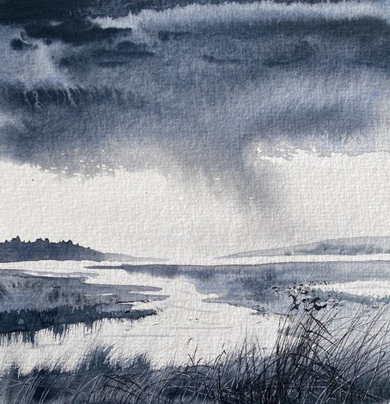 Monochrome rain over marshes