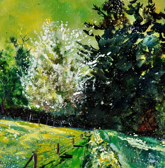 Spring 8623