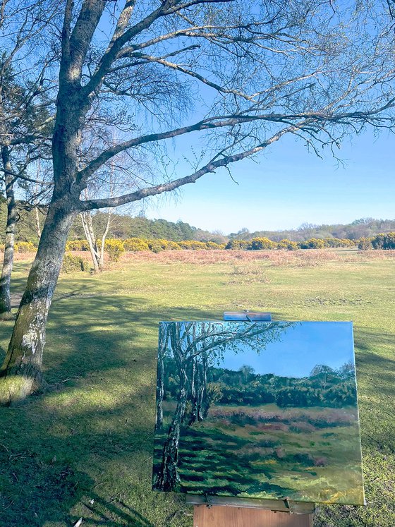 Broadley (view at Brownhills on the left)