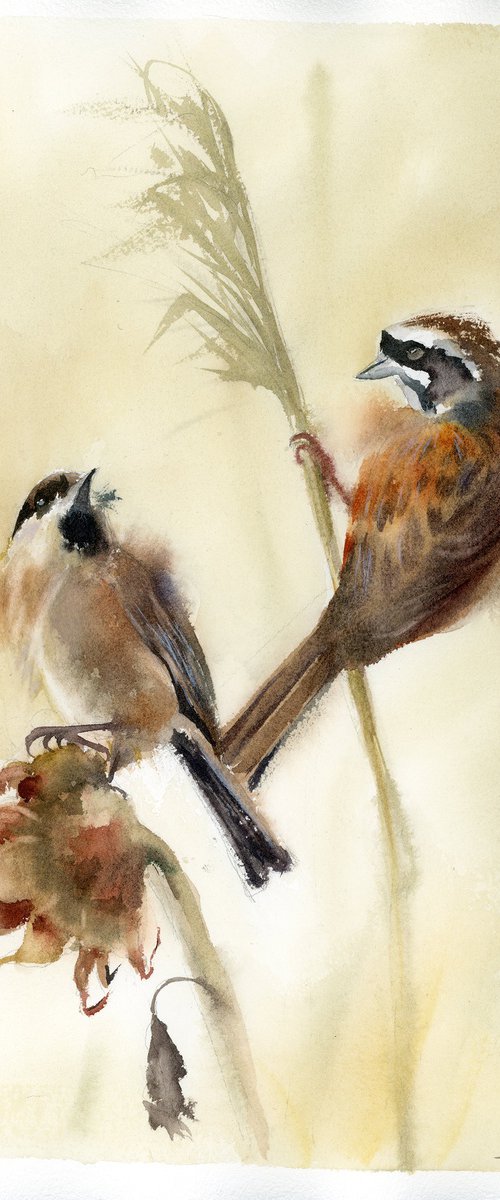 2 Brown birds in warm hues by Olga Tchefranov (Shefranov)