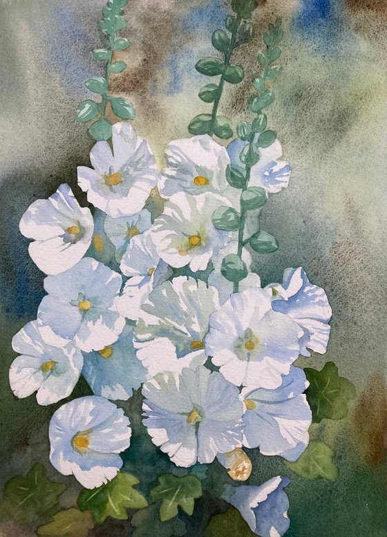 White Hollyhocks