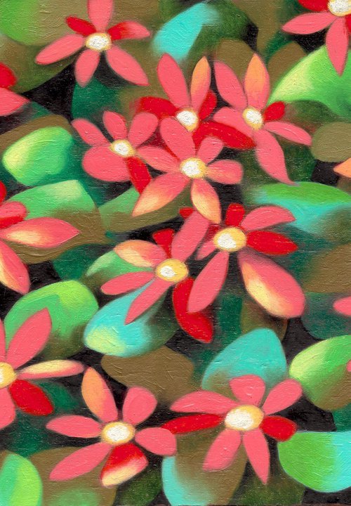 Red flowers by Federico Cortese