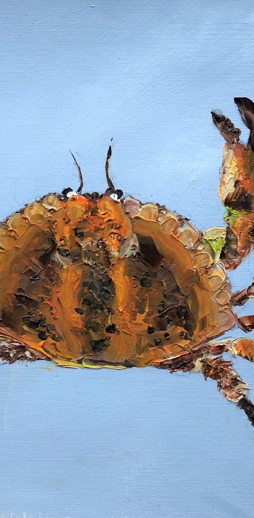 Fresh crab for you by Lena Smirnova