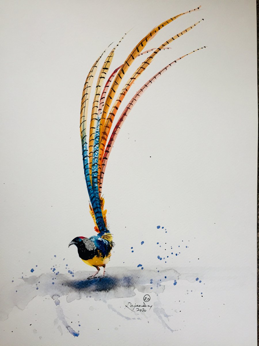 Bird Series_021 by Rajan Dey