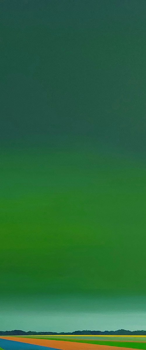 Northern Lights (November) by Nelly van Nieuwenhuijzen