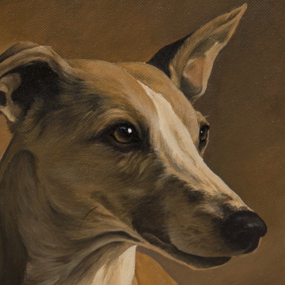 Oil painted Whippet