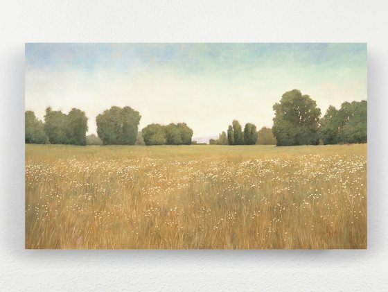 Summer Fields 251019
