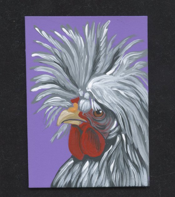 ACEO ATC Original Miniature Painting Showgirl Silkie Chicken Pet Bird Art-Carla Smale