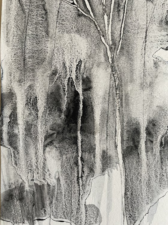 Shadowtrees I Schattenbäume II