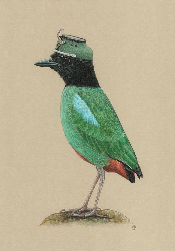 Original pastel drawing bird "Hooded pitta"