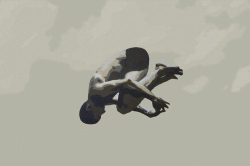 Somersault by Daniel Gibert