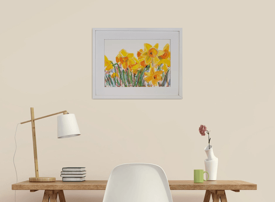 Daffodil field