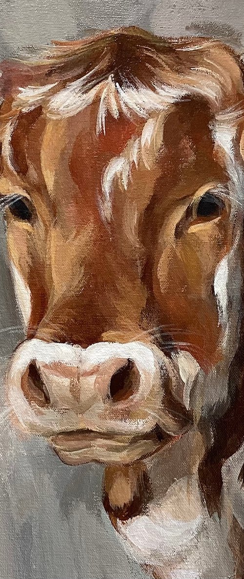 Brown Cow by Silvia  Vassileva