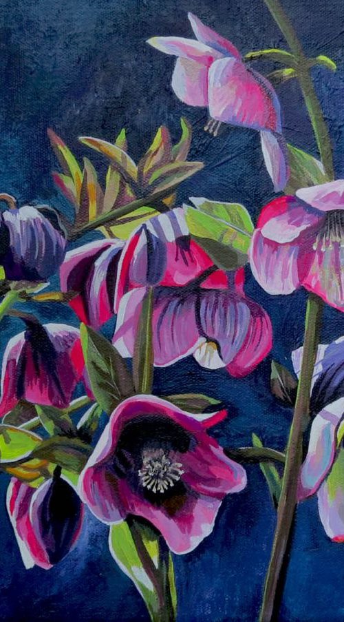 Hellebores 1 by Roz Edwards