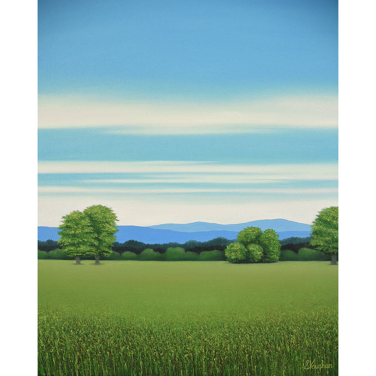 Lush Grass - Blue Sky By Suzanne Vaughan, 16 X 20, Artwork For Sale On Artfinder