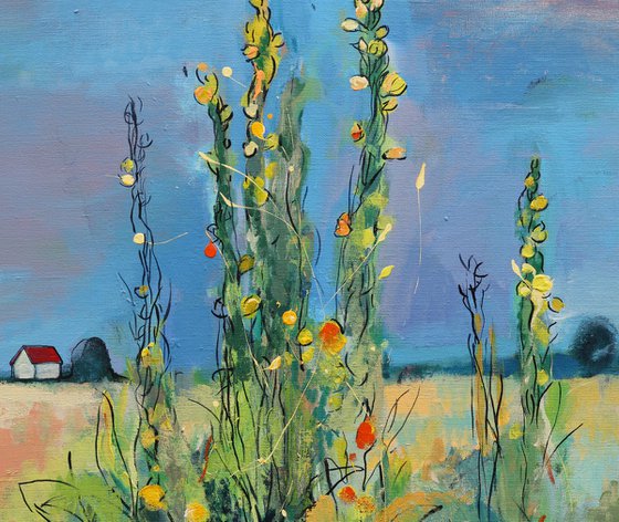 Verbascum