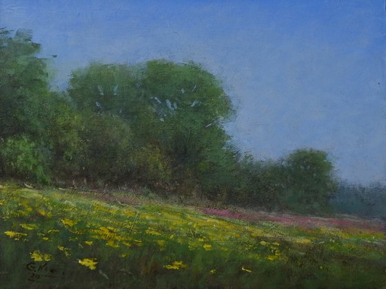 Blooming fields