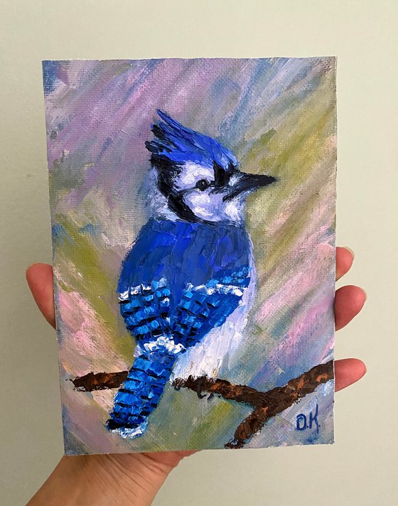 Blue jay