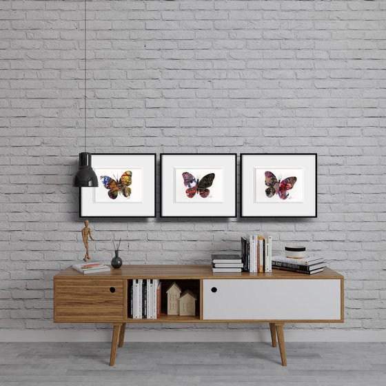 A Butterfly Story Collection 1