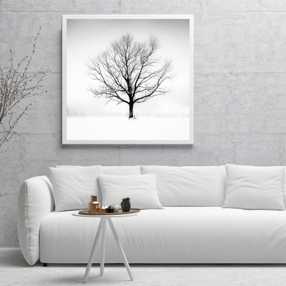 Solitude in White