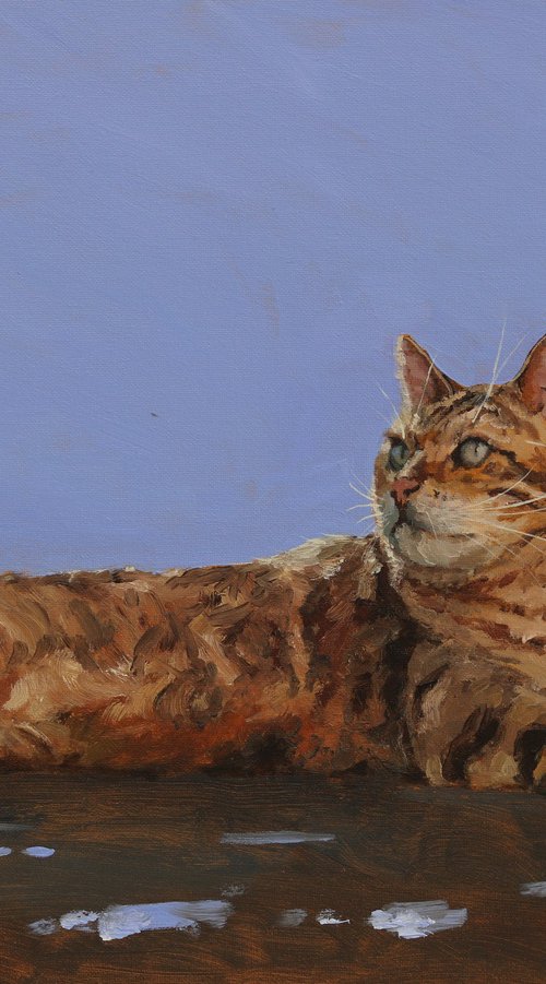 Bengal cat by Tom Clay