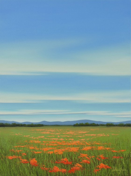 Orange Poppies in Bloom - Colorful Flower Field Landscape