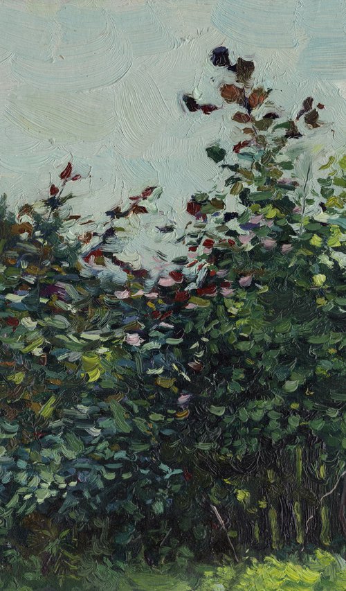 Sunny bush by Simon Kozhin