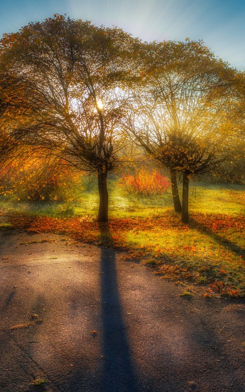 Autumn Calm VI — Morning Radiance by Vlad Durniev