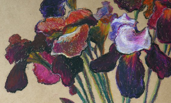 Iris Flowers 1