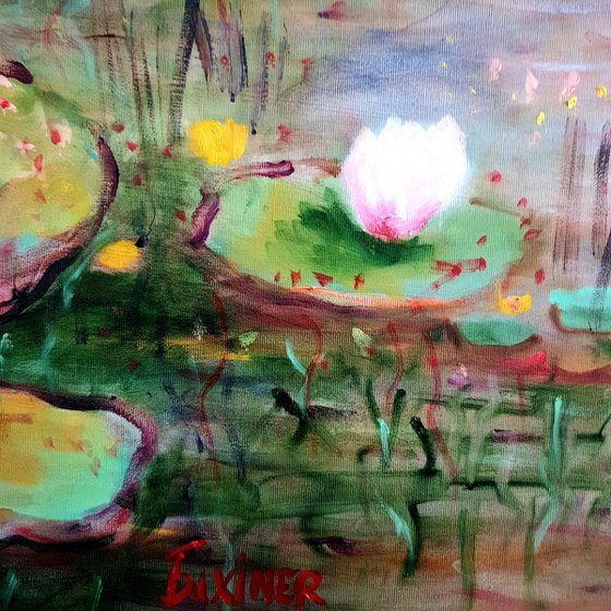 Water Lilies