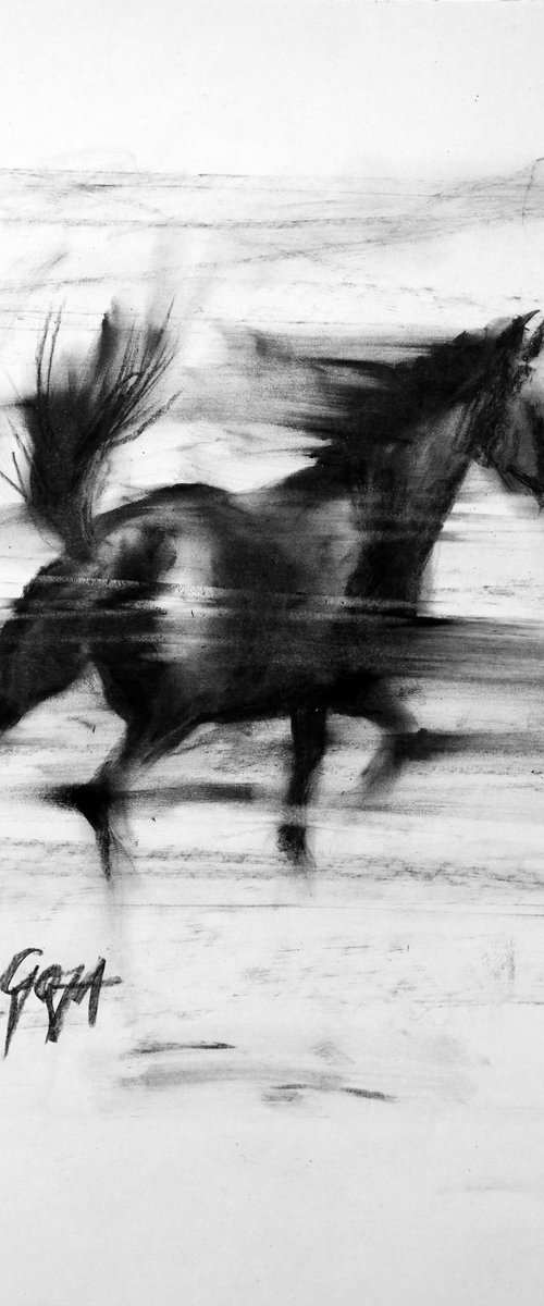 RUNNING HORSE by Nicolas GOIA