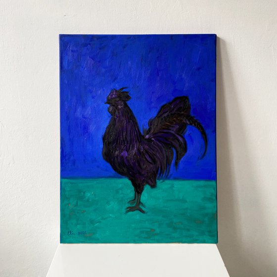 Black rooster