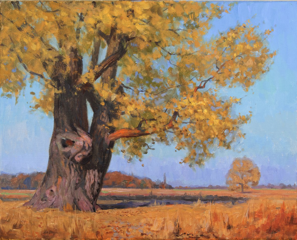 Oak by Andrii Kateryniuk