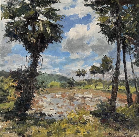 Rainy Season in Rural Thailand