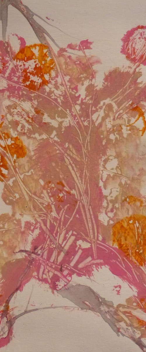 The Floral Lineaments by Frederic Belaubre