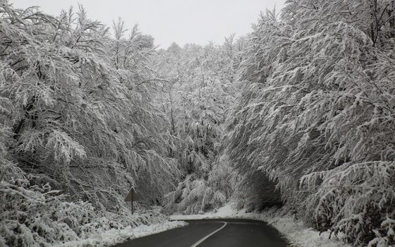 snow on road