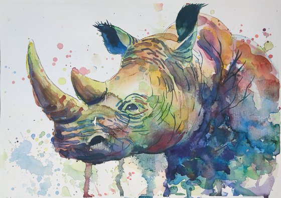 African Rhino